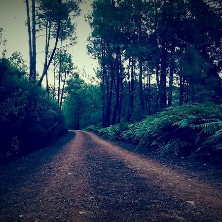 El Peral *